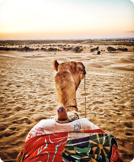 Paysage de destination pour Tunisie