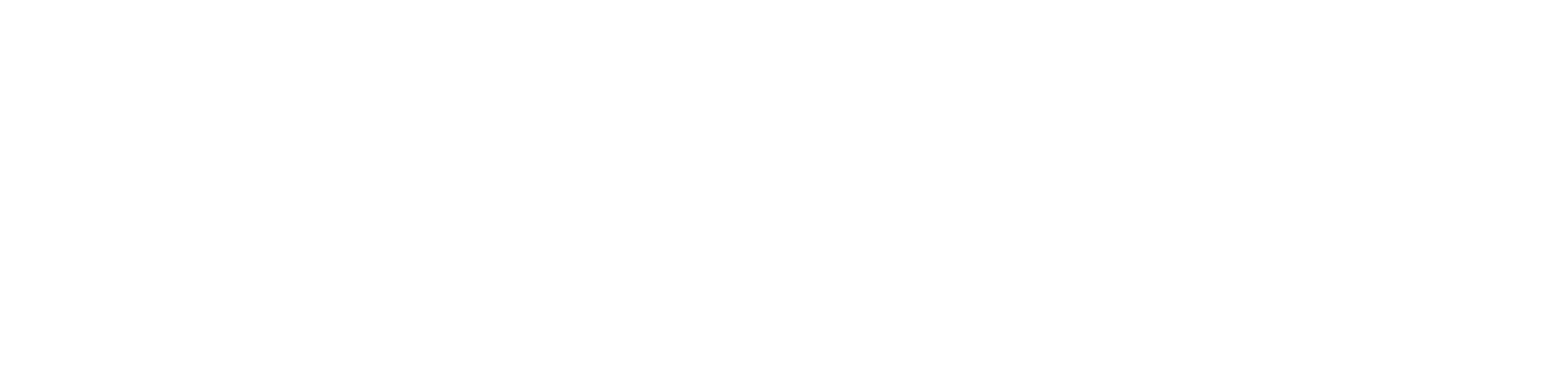 MAV VOYAGES Logo